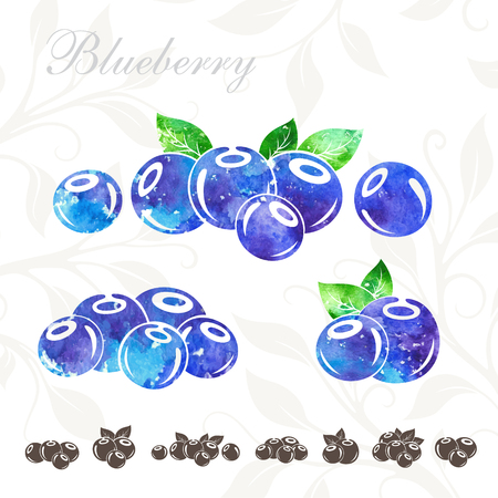 Blueberry icons set. Blueberry with watercolor textureのイラスト素材