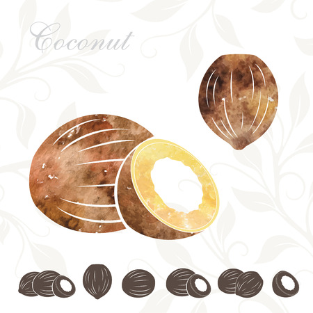 Coconut icons set. Coconuts illustration with watercolor textureのイラスト素材