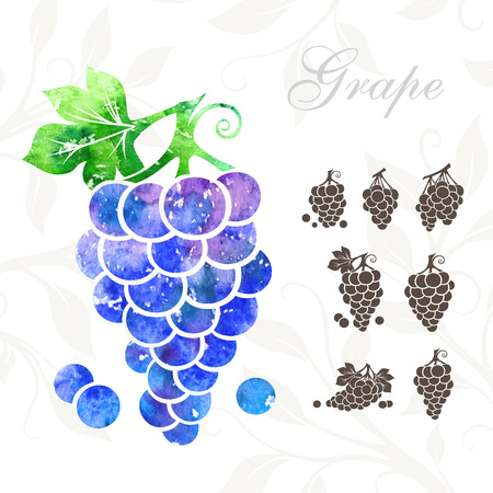 Grape icons set. Grape illustration with watercolor textureのイラスト素材