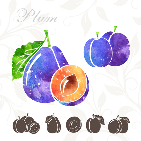 Plum icons set. Plum illustration with watercolor textureのイラスト素材