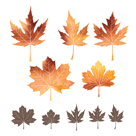 Set of autumn leaves icons with watercolor textureのイラスト素材