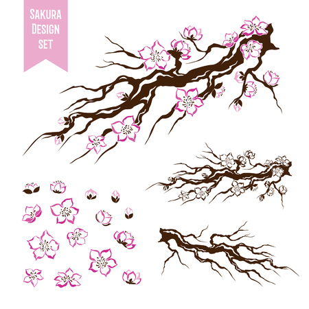 Sakura. Blossoming cherry tree branch. Stencil style. Graphic vector decorative elements.のイラスト素材