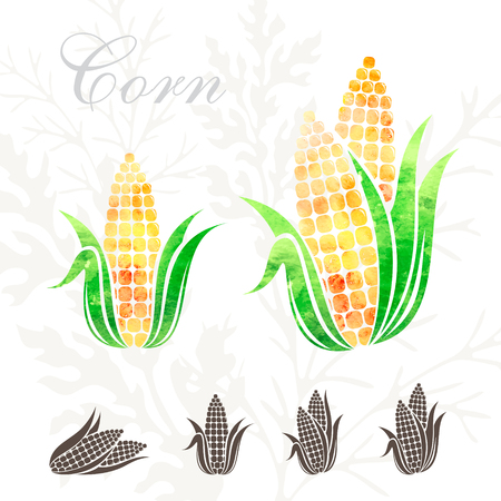 Corn icons set. Vegetables icon with watercolor textureのイラスト素材