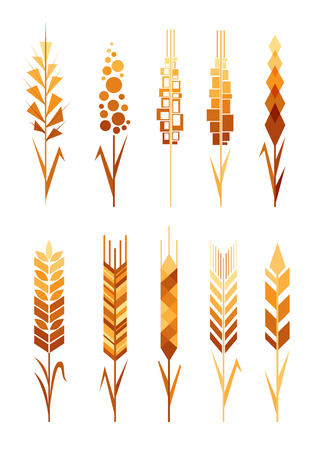 Set of wheat icons in different styleのイラスト素材