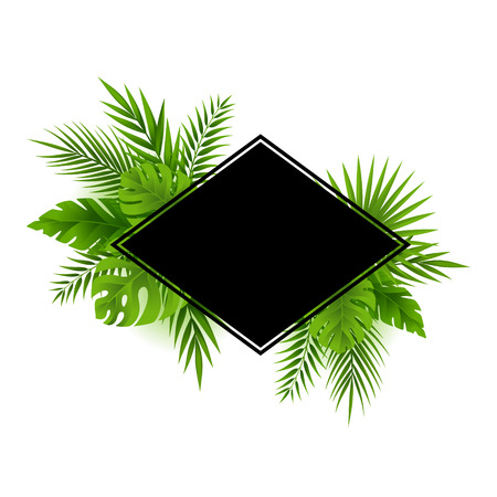 Tropical jungle palm tree leaves card. Rombus frame with copy spaceのイラスト素材