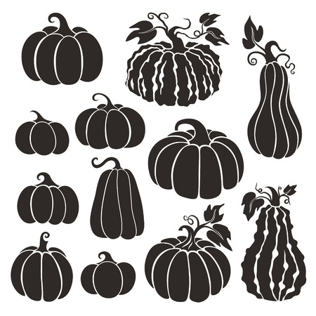 Pumpkins set. Collection of various type pumpkinsのイラスト素材