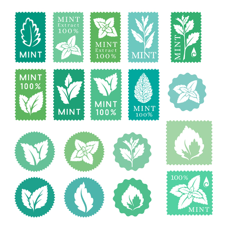 Mint leaves badges, banners and stickers collectionのイラスト素材