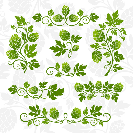 Hop decoration elements. Dividers, branches with leaves and hop cones.のイラスト素材