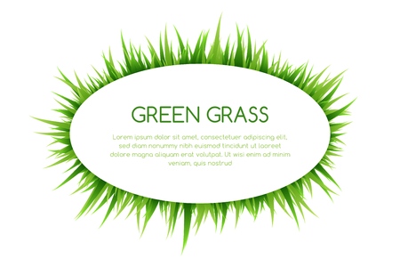 Green grass decorative elements, Oval banner with copy space Vector illustrationのイラスト素材