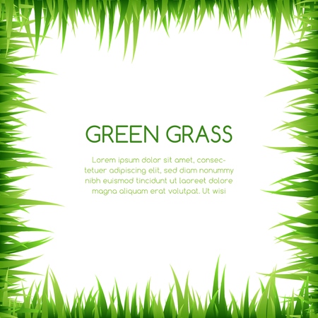 Green grass decorative elements, Square frame with copy space Vector illustrationのイラスト素材