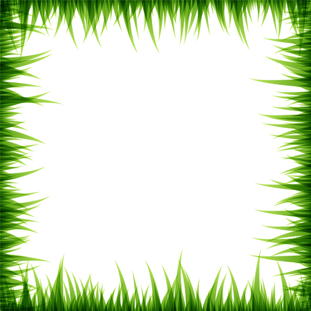 Green grass decorative elements. Square frame with copy space. Vector illustrationのイラスト素材