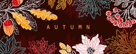 Autumn artistic background. Horizontal banner with decoration frame from maple leaves, oak branch, rowan branch and flowers.のイラスト素材