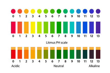 Ph scale litmus test. Acid and alkaline infographic.のイラスト素材