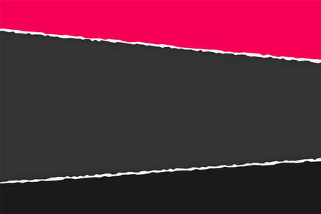Ripped paper design element. Two horizontal borders in pink and black colors on the gray background.のイラスト素材