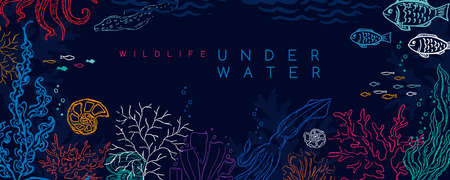 Underwater banner. background with reef landscape. Corals, fish, polyps, shellfish and seaweeds and other sea wildlifeのイラスト素材