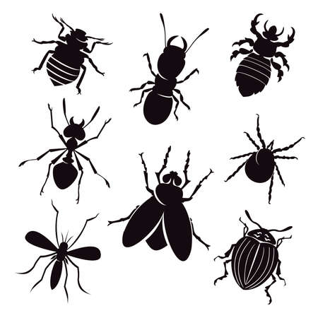set of insect silhouettes vector illustrationのイラスト素材
