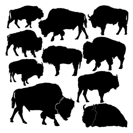 set of bison animal silhouettes in various positions vector illustrationのイラスト素材