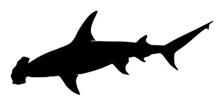 hammerhead shark silhouette vector illustrationのイラスト素材