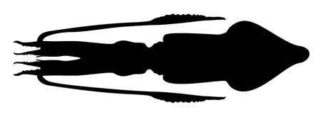 silhouette of an animal squid vector illustrationのイラスト素材