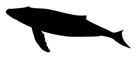 silhouette of a marine mammal whale vector illustrationのイラスト素材