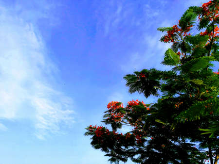 Look What happens With a love like that It lights the whole skyの写真素材