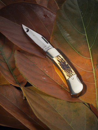 In the wild, put a small knife in the leaves