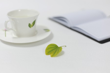 White background in the leaves, notebooks, and the cupの写真素材