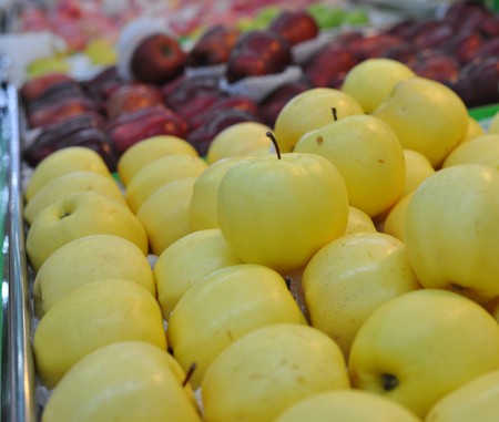 A pile of pears fresh from the farmerの写真素材