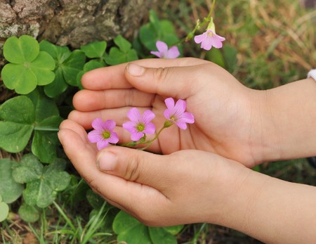 Small child holding flowers
