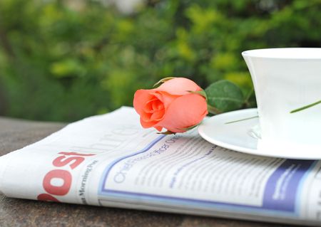Newspaper teacup rose in gardenの写真素材