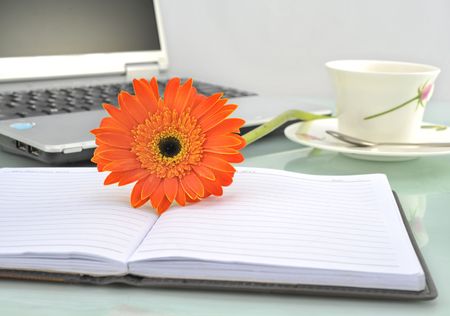 Sunflower office desk and notebookの写真素材
