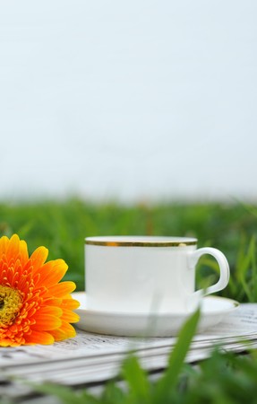 Teacup flower in outdoors lawn の写真素材