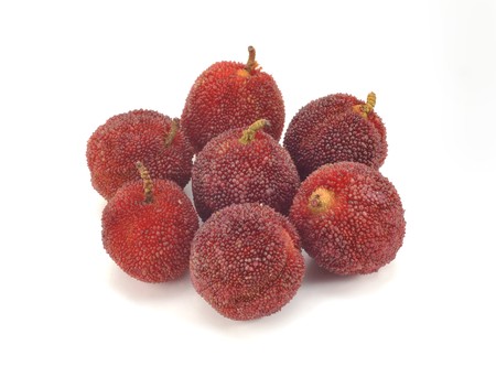 Waxberry in white backgroundの写真素材