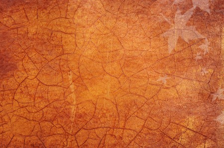 Grungy texture, abstract. Technical paper の写真素材