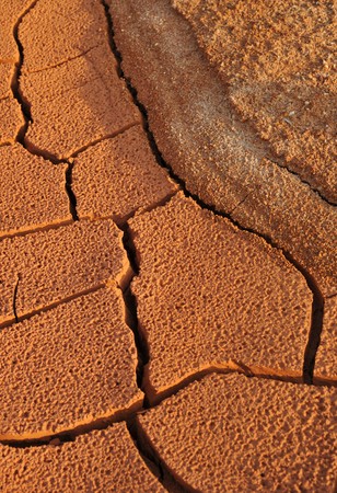 Cracked and dried mud texture