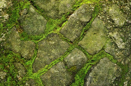 Stone covered by moss の写真素材