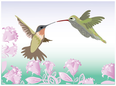 Background with flowers and hummingbirdsのイラスト素材