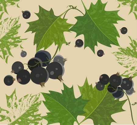 Background with blackcurrantのイラスト素材