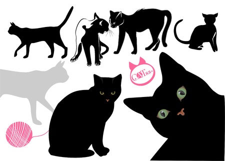 Cats life vector backgroundのイラスト素材