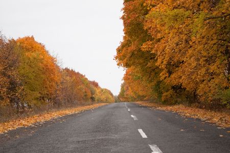 Mellow autumnの写真素材