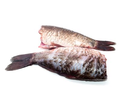 Fresh fish on a white background