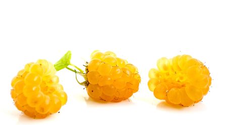 Raspberry on a white backgroundの写真素材