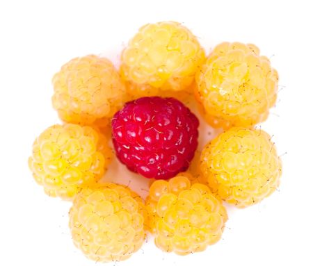 Raspberry on a white backgroundの写真素材