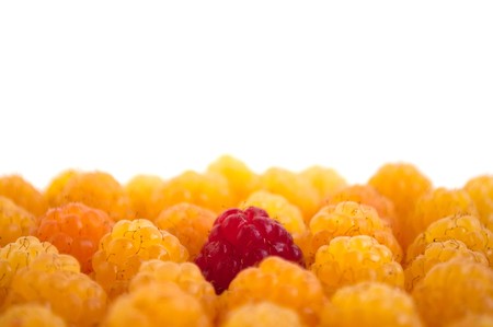 Raspberry on a white backgroundの写真素材