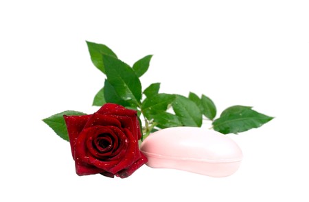 red rose with soap on a white backgroundの写真素材