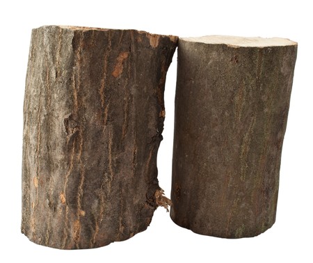 firewood on a white backgroundの写真素材