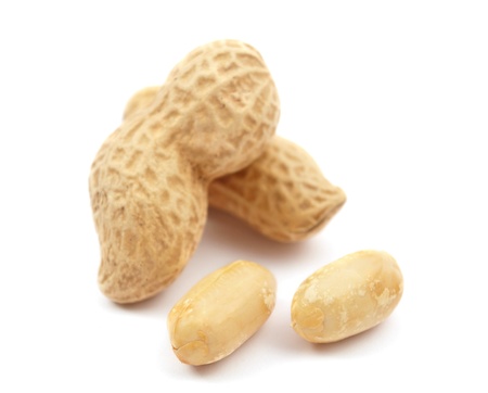 Peanuts on a white backgroundの写真素材