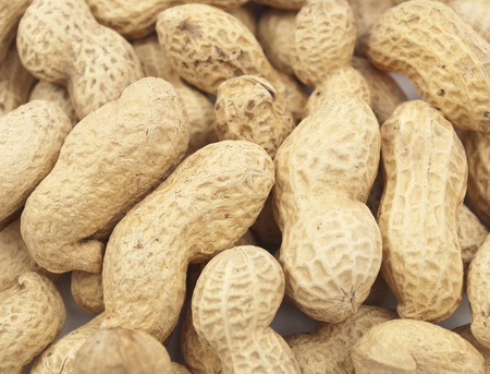 Macro of roasted peanuts in the shell