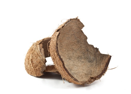 coconut on a white background