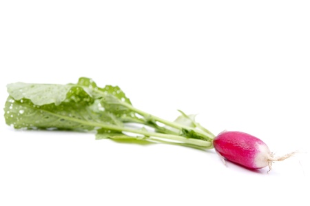 red radish with a white backgroundの写真素材